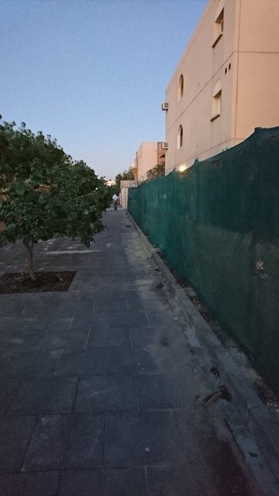 مشاركاتي في أنت الراصد