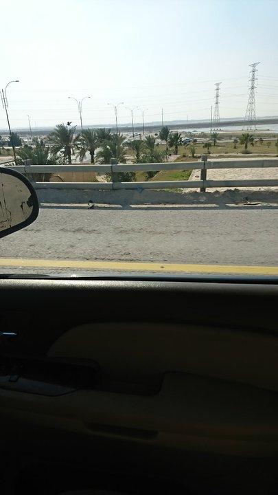 مشاركاتي في أنت الراصد