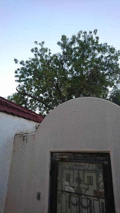 مشاركاتي في أنت الراصد