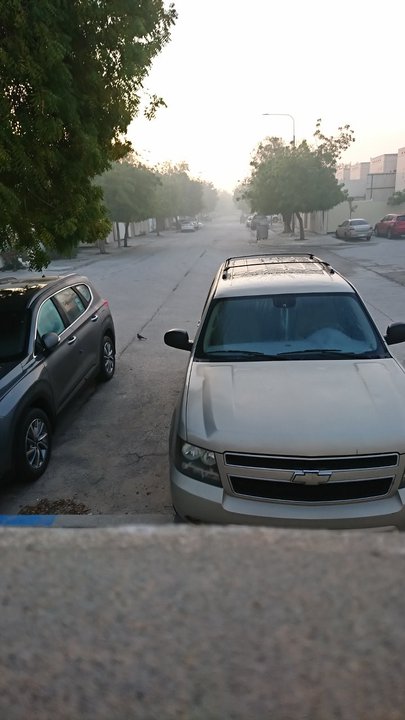 مشاركاتي في أنت الراصد