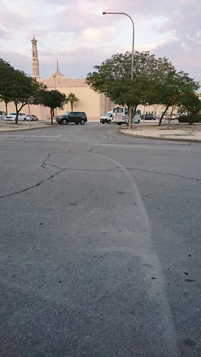 مشاركاتي في أنت الراصد