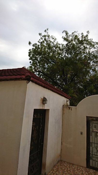 مشاركاتي في أنت الراصد