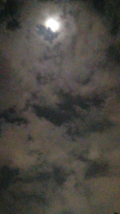 مشاركاتي في أنت الراصد