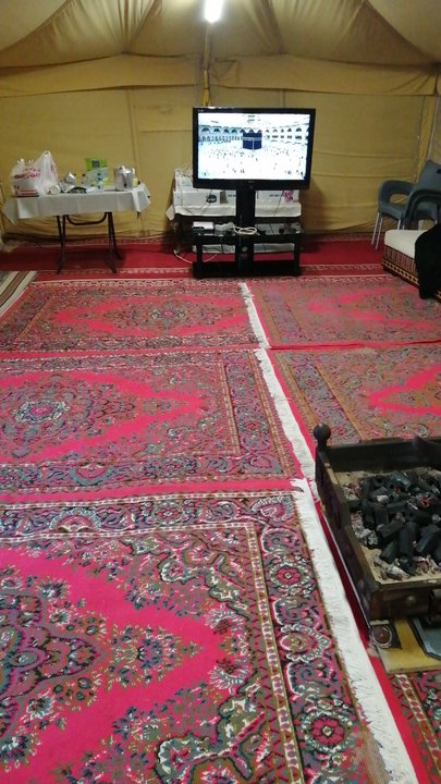 مشاركاتي في أنت الراصد