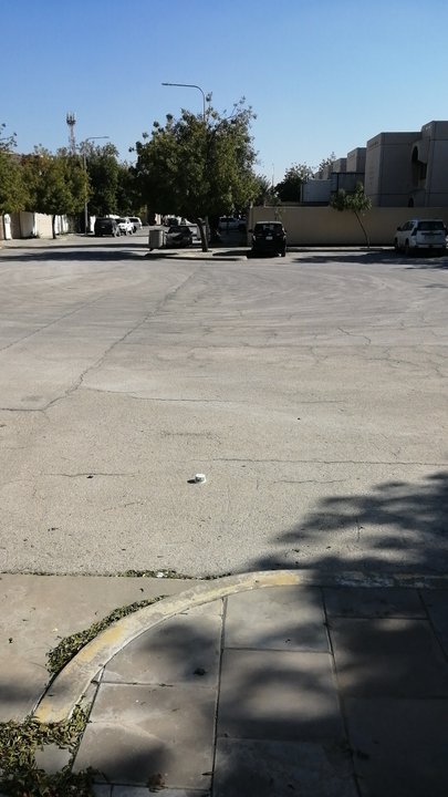 مشاركاتي في أنت الراصد