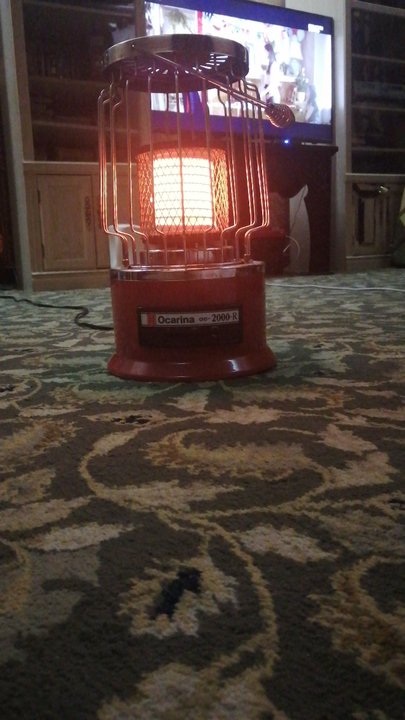 مشاركاتي في أنت الراصد