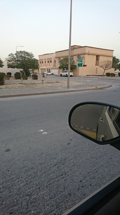 مشاركاتي في أنت الراصد