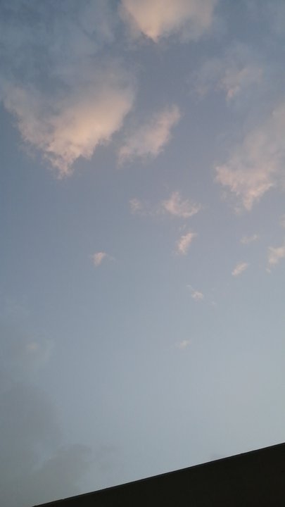 مشاركاتي في أنت الراصد