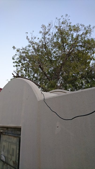 مشاركاتي في أنت الراصد