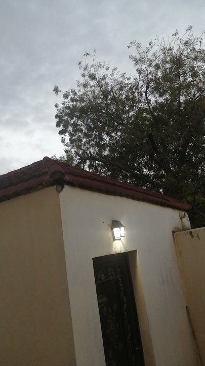 مشاركاتي في أنت الراصد