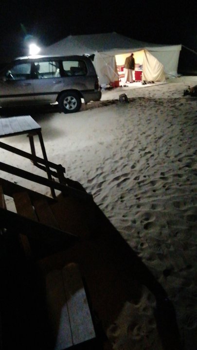 مشاركاتي في أنت الراصد