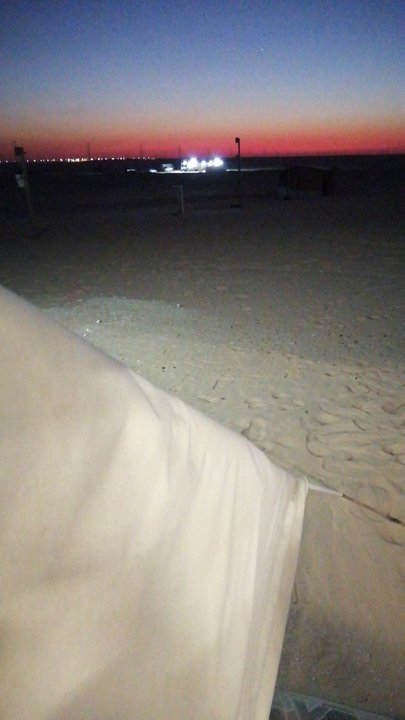 مشاركاتي في أنت الراصد