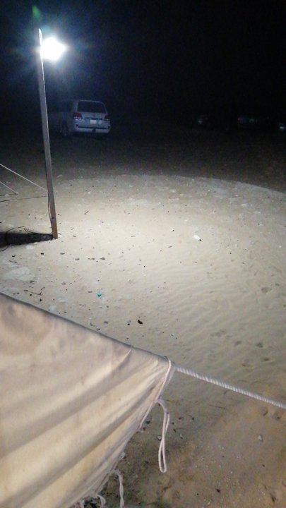 مشاركاتي في أنت الراصد