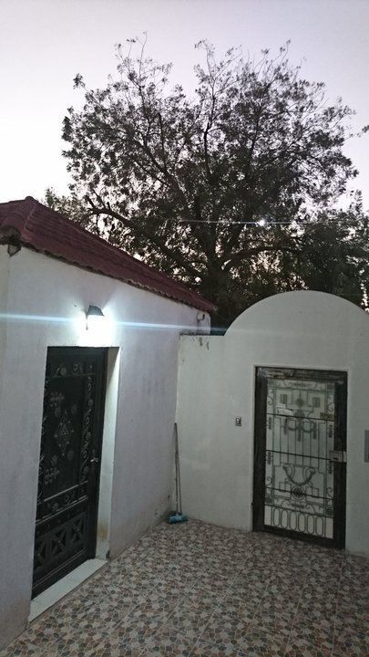 مشاركاتي في أنت الراصد