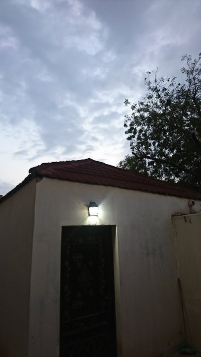 مشاركاتي في أنت الراصد