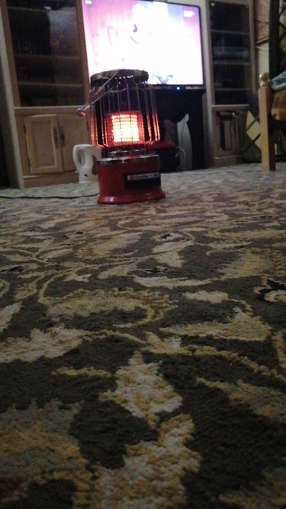 مشاركاتي في أنت الراصد