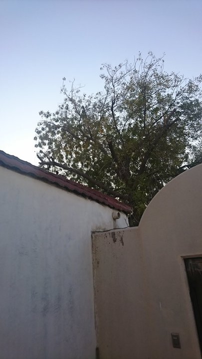 مشاركاتي في أنت الراصد