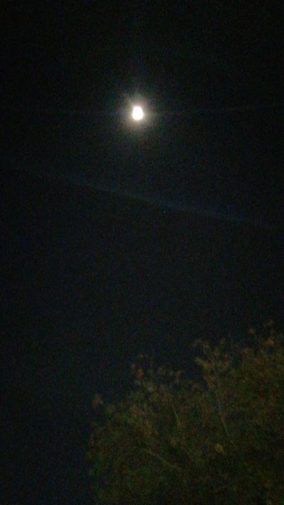 مشاركاتي في أنت الراصد