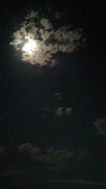 مشاركاتي في أنت الراصد