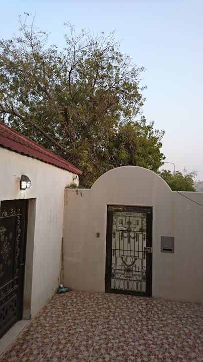 مشاركاتي في أنت الراصد