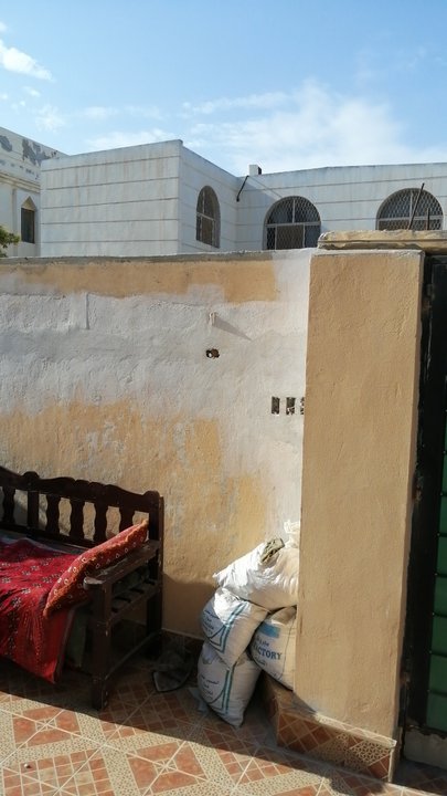 مشاركاتي في أنت الراصد