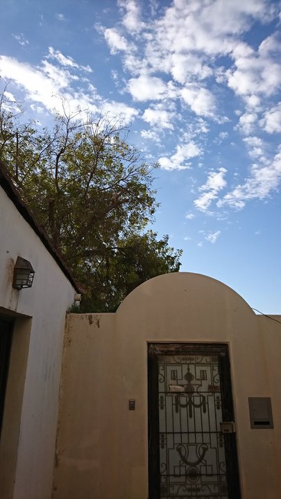 مشاركاتي في أنت الراصد