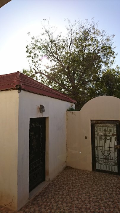 مشاركاتي في أنت الراصد