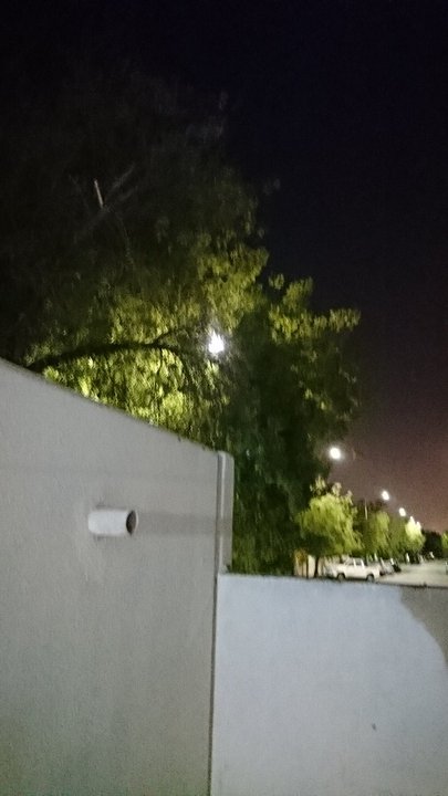 مشاركاتي في أنت الراصد