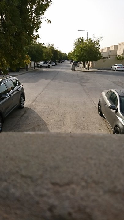 مشاركاتي في أنت الراصد