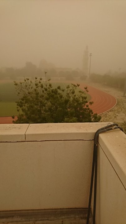 مشاركاتي في أنت الراصد