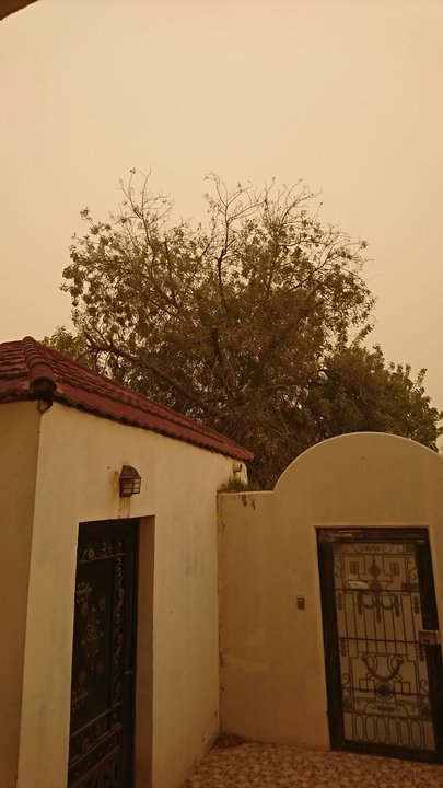 مشاركاتي في أنت الراصد