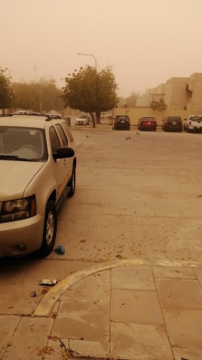 مشاركاتي في أنت الراصد