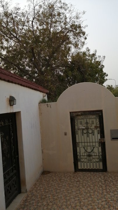 مشاركاتي في أنت الراصد