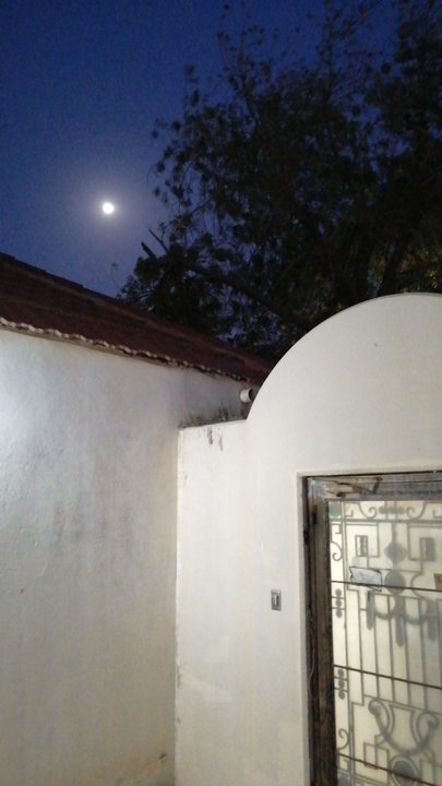 مشاركاتي في أنت الراصد