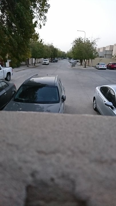 مشاركاتي في أنت الراصد