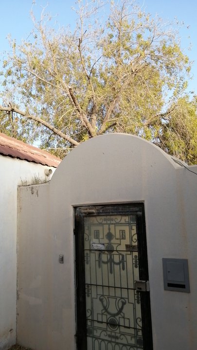 مشاركاتي في أنت الراصد