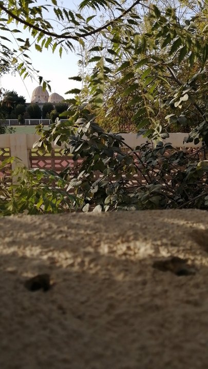 مشاركاتي في أنت الراصد