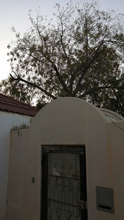 مشاركاتي في أنت الراصد