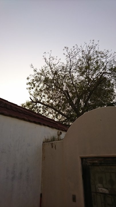 مشاركاتي في أنت الراصد