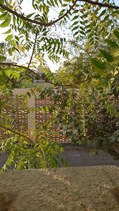 مشاركاتي في أنت الراصد