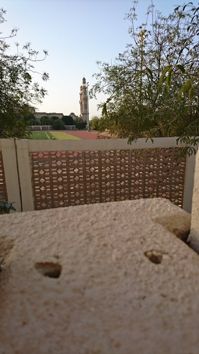 مشاركاتي في أنت الراصد