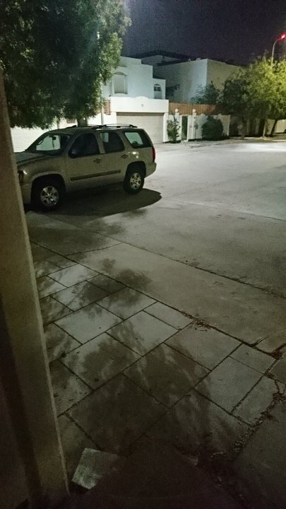 مشاركاتي في أنت الراصد