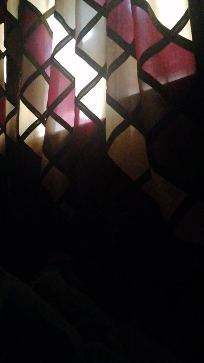 مشاركاتي في أنت الراصد