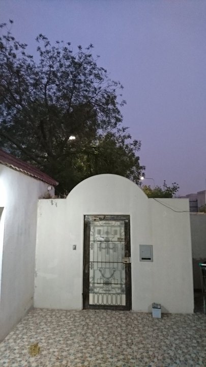 مشاركاتي في أنت الراصد