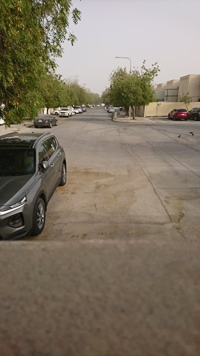 مشاركاتي في أنت الراصد