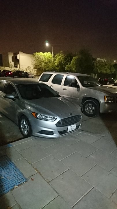 مشاركاتي في أنت الراصد