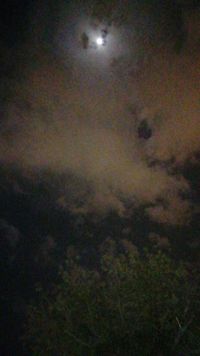 مشاركاتي في أنت الراصد