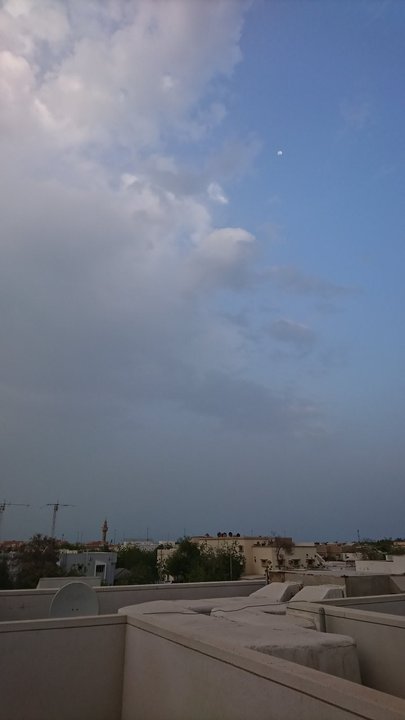 مشاركاتي في أنت الراصد
