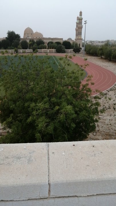 مشاركاتي في أنت الراصد