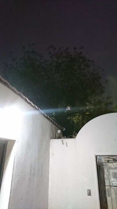 مشاركاتي في أنت الراصد